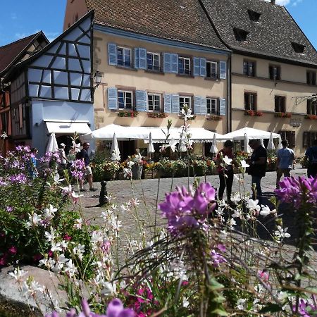 Gites Au Chateau Fleuri Eguisheim Esterno foto