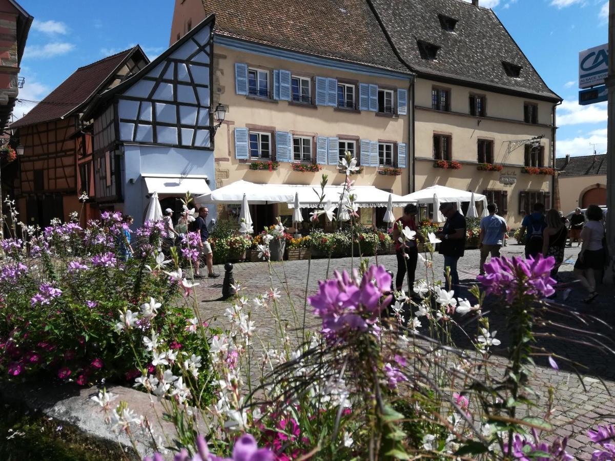 Gites Au Chateau Fleuri Eguisheim Esterno foto