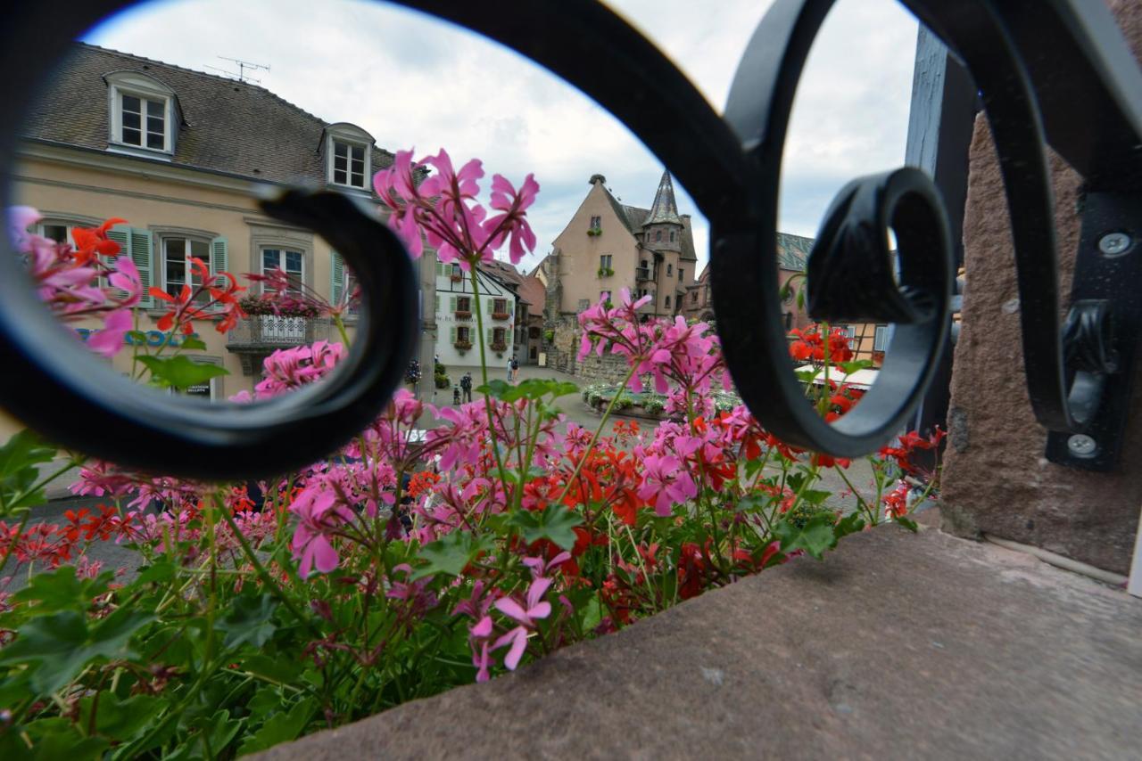 Gites Au Chateau Fleuri Eguisheim Camera foto