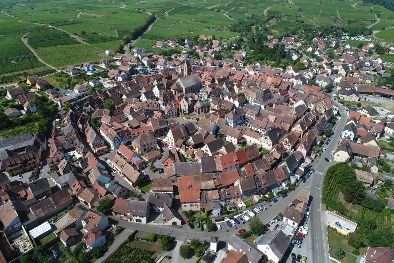 Gites Au Chateau Fleuri Eguisheim Camera foto