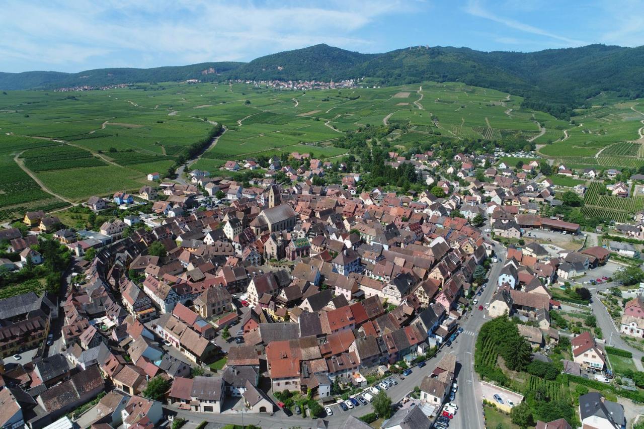 Gites Au Chateau Fleuri Eguisheim Camera foto