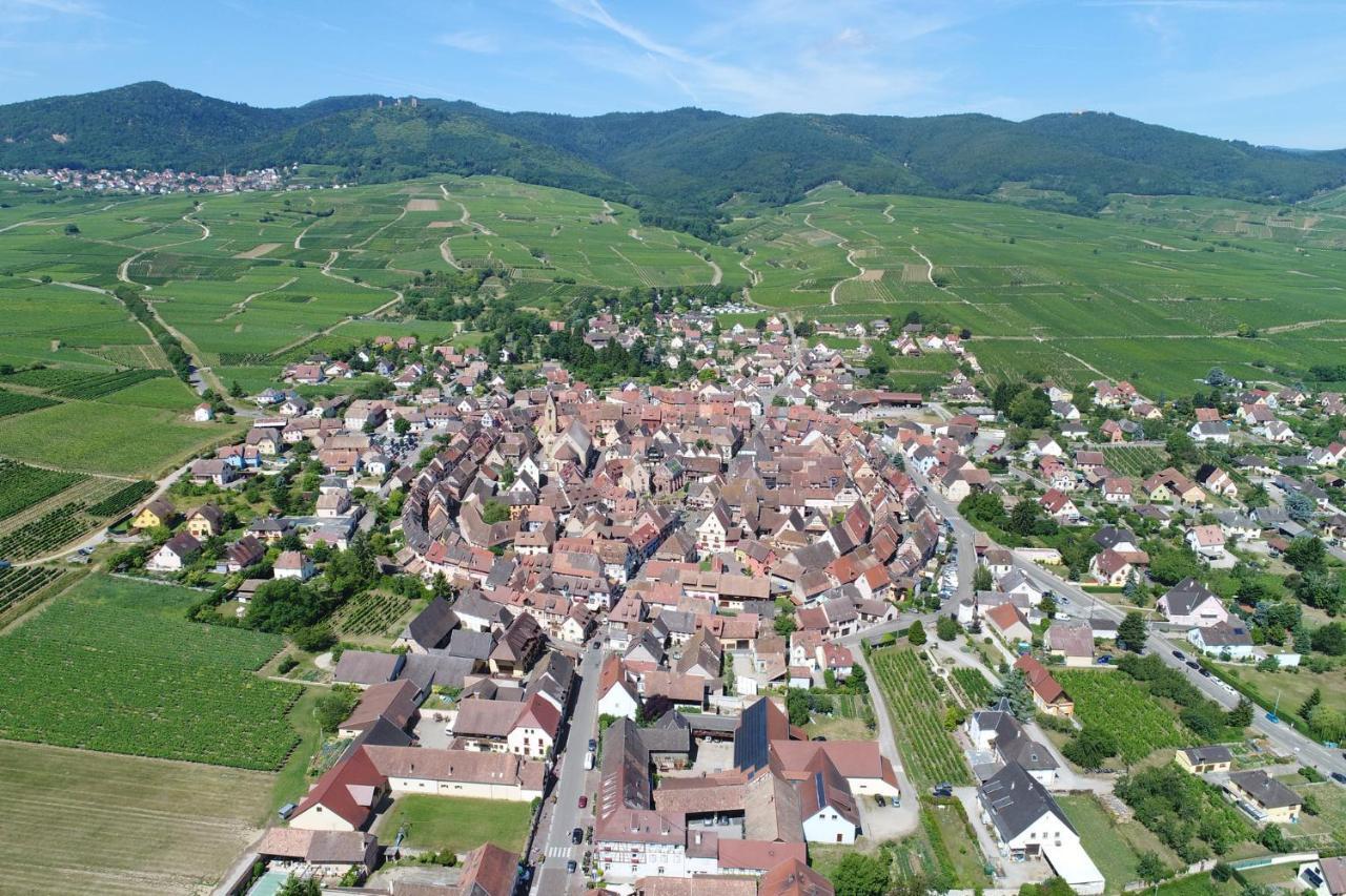 Gites Au Chateau Fleuri Eguisheim Camera foto