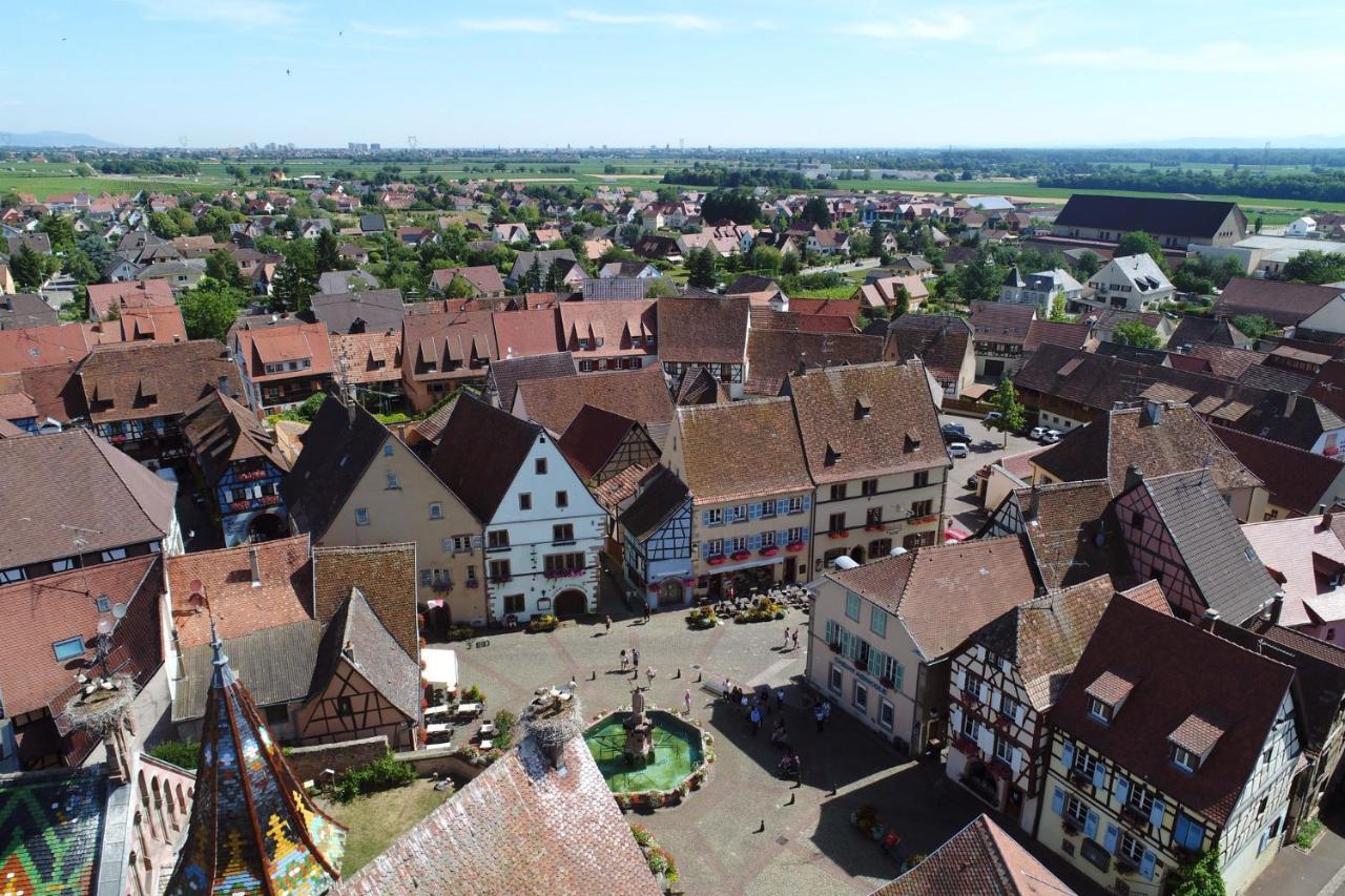 Gites Au Chateau Fleuri Eguisheim Camera foto